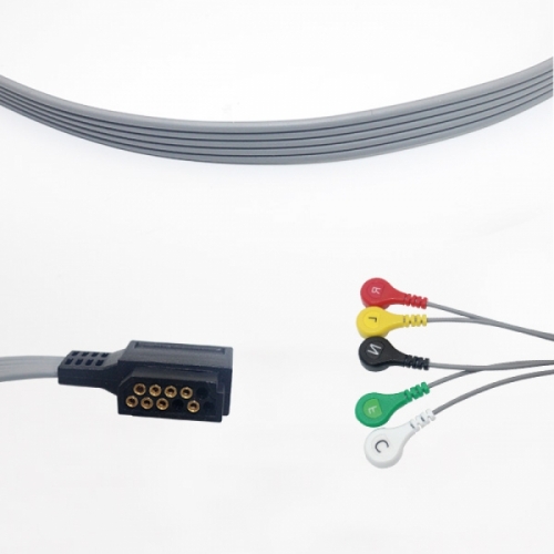 Philips DigiTrak XT Cable